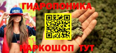 гидропоника Братск