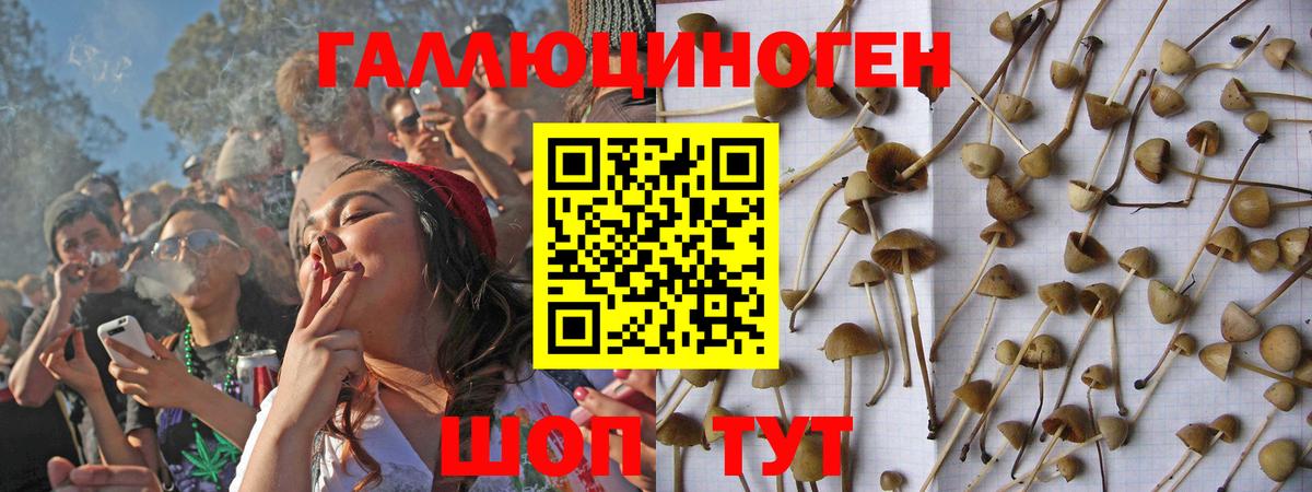 Псилоцибиновые грибы прущие грибы Курск