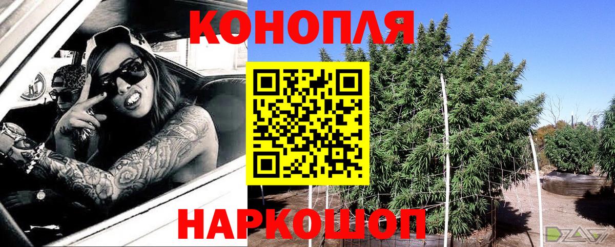 Бошки Шишки Ganja  Курск  Каннабис ГИДРОПОН 